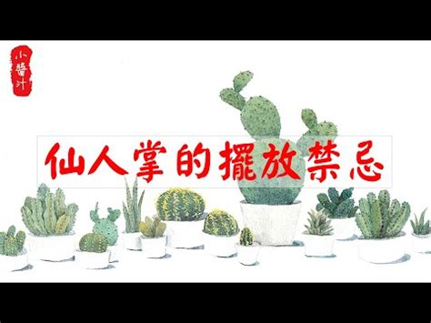 仙人掌要放哪裡|【仙人掌要放哪裡】仙人掌要放哪裡？揭秘仙人掌風水擺放的秘密。